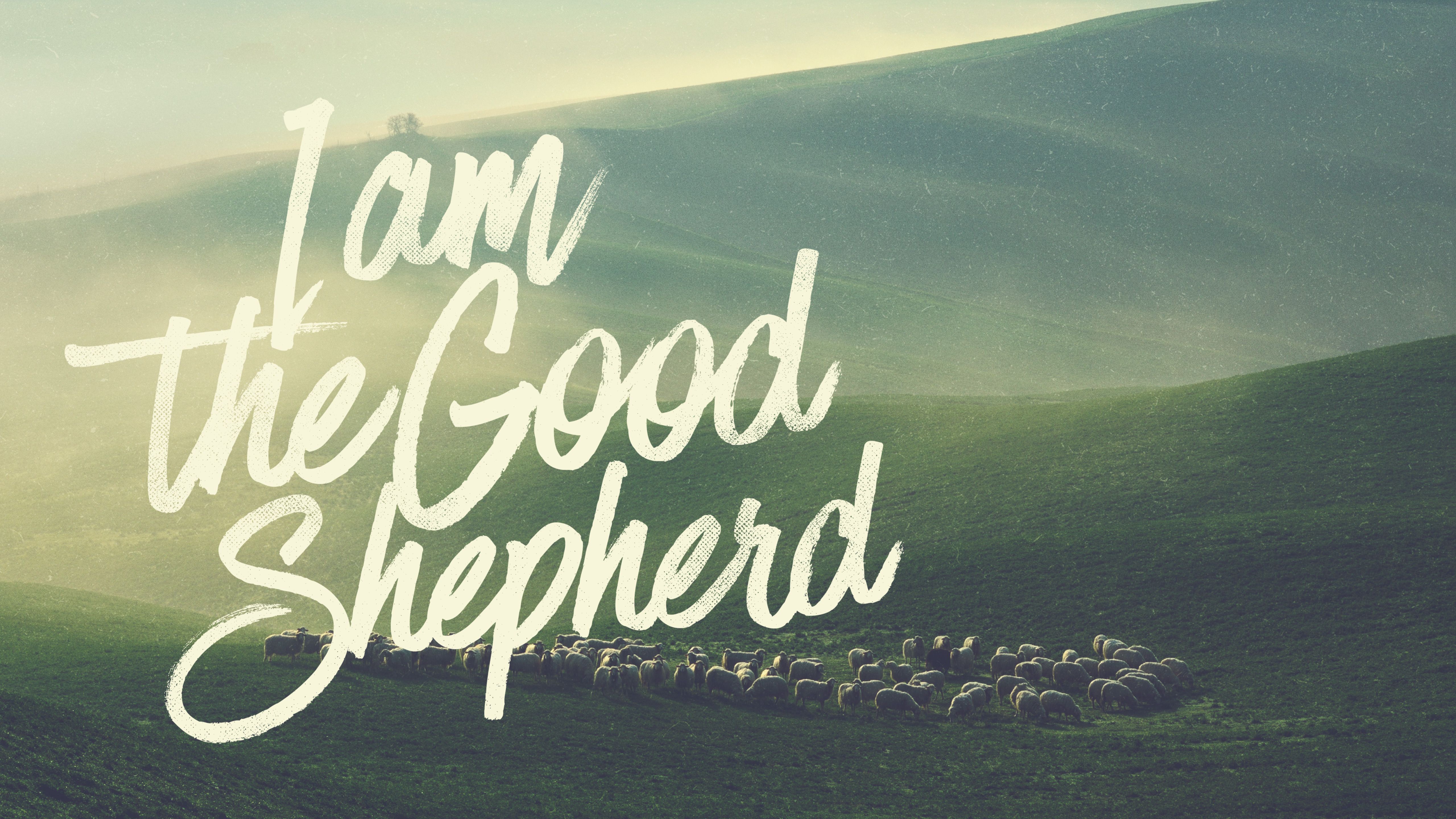 I Am the Good Shepherd – John 10 – stevecorn.com